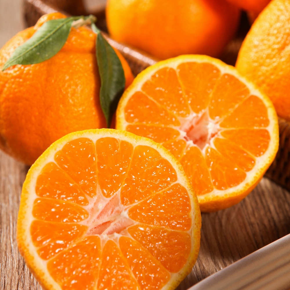 과일 혼합 명절 선물 세트 4.5kg 특 사과2과 배2과 한라봉2과 샤인2수