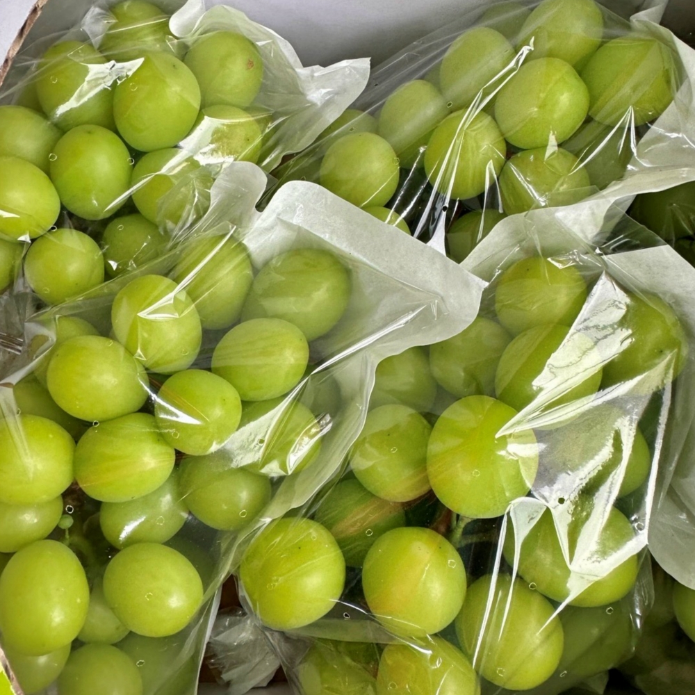 과일 혼합 명절 선물 세트 4.5kg 특 사과2과 배2과 한라봉2과 샤인2수