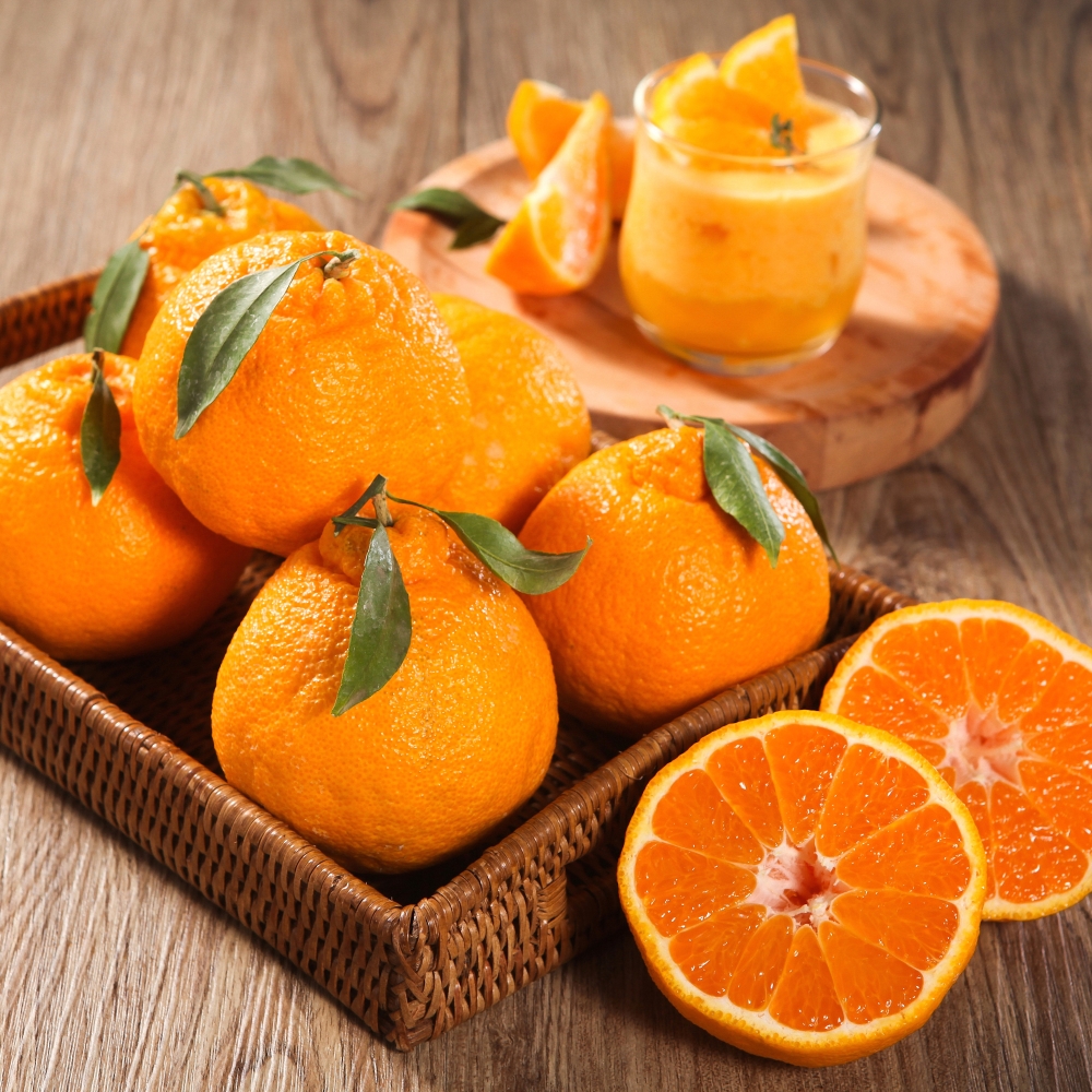 과일 혼합 명절 선물 세트 4.5kg 특 사과2과 배2과 한라봉2과 샤인2수