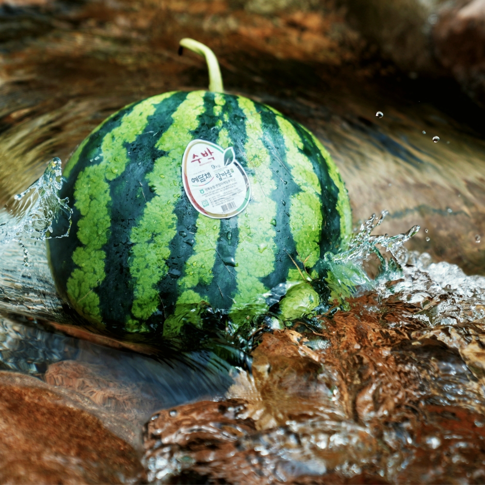 [탑마루] 프리미엄 고당도 하우스 꿀수박