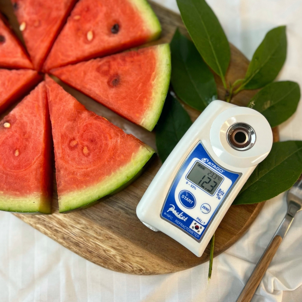 [탑마루] 프리미엄 고당도 하우스 꿀수박