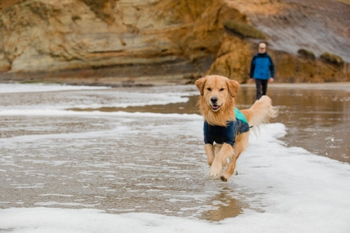 러프웨어 언더코트 워터 자켓(Undercoat™ Water Jacket) 6
