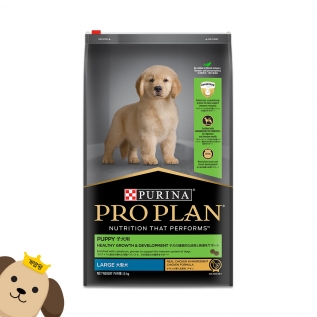 퓨리나 프로플랜 라지브리드 퍼피 15.4kg