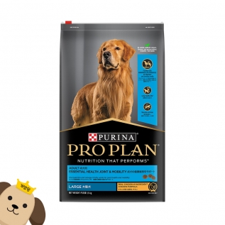 퓨리나 프로플랜 라지브리드 성견용 15.4kg