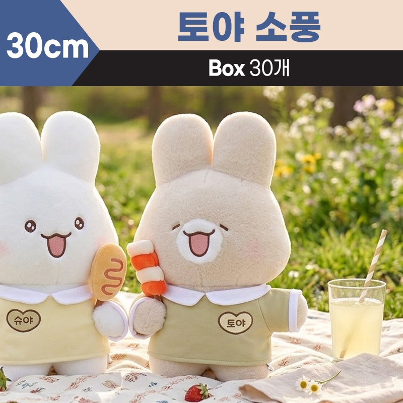 30cm 토야 소풍