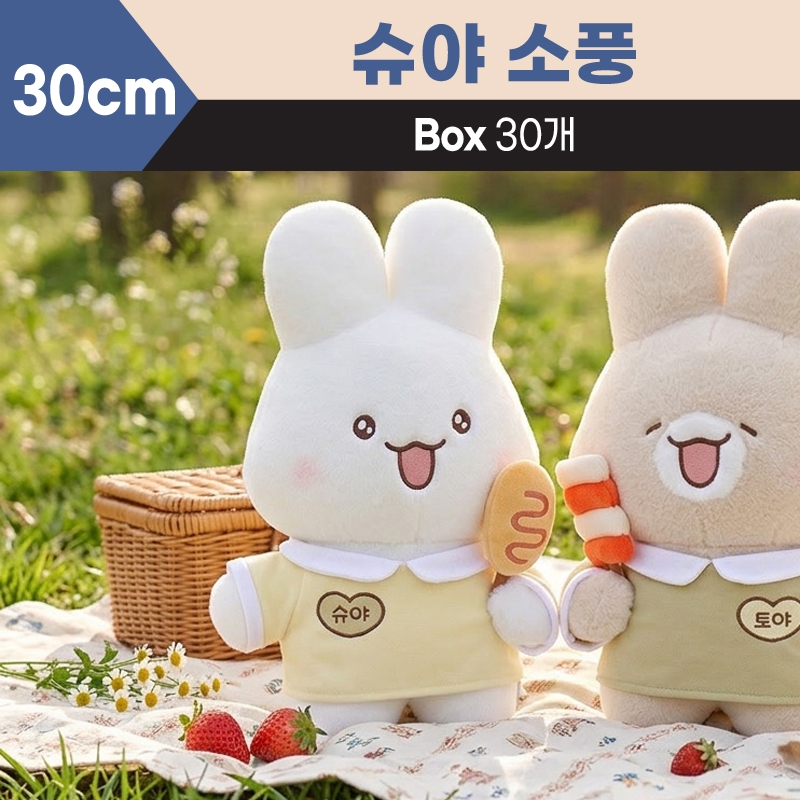 30cm 슈야 소풍