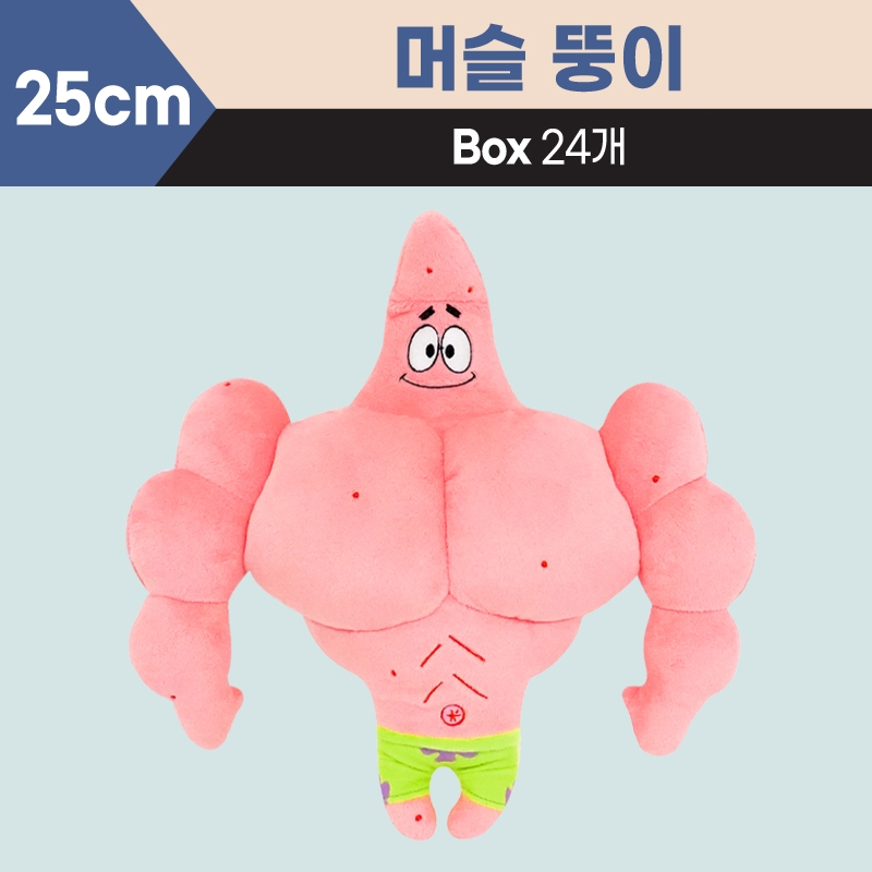 25cm 머슬 뚱이