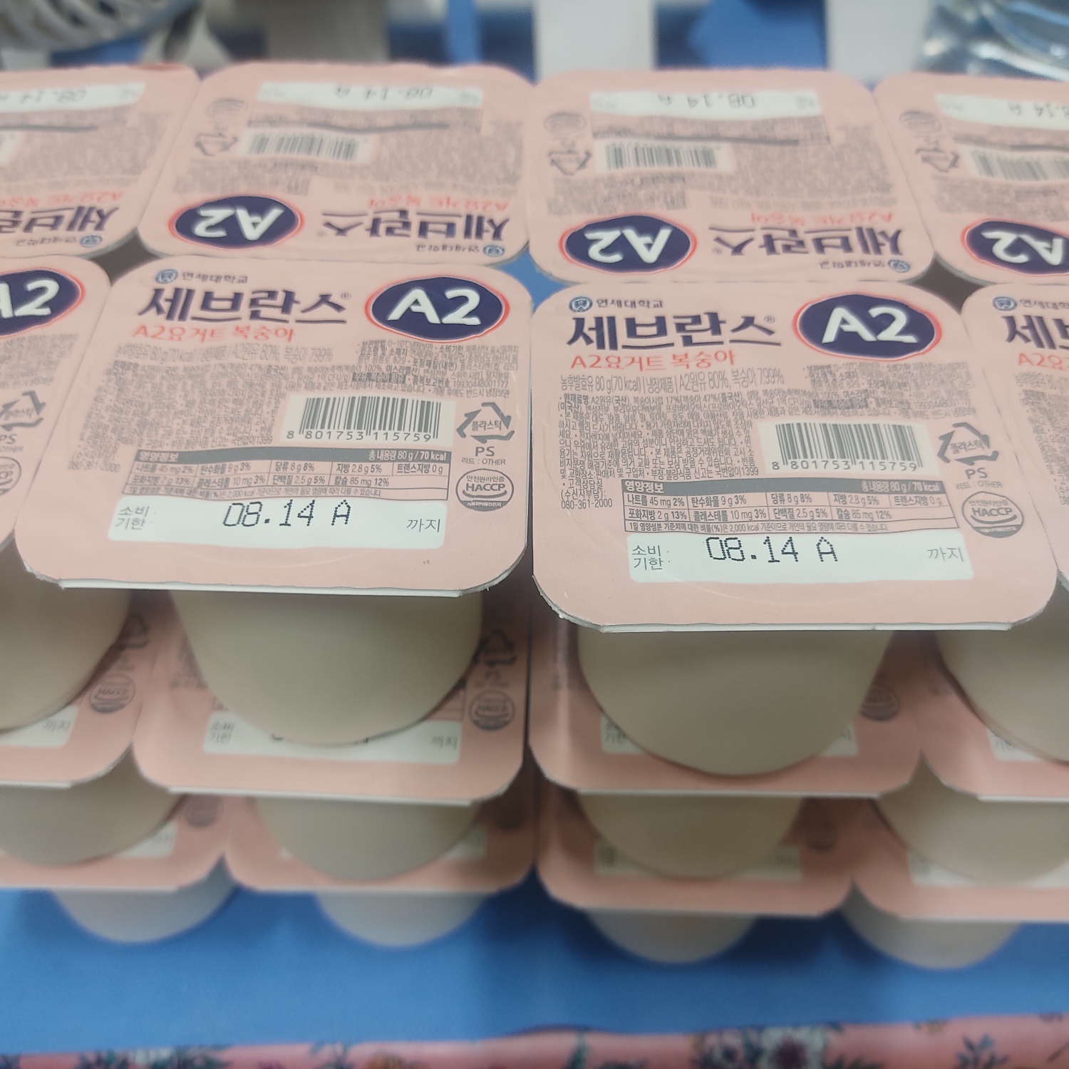 KakaoTalk_20260912_221718694.jpg