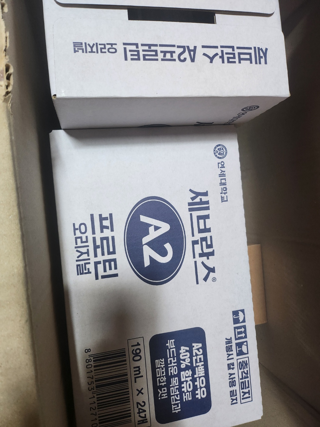 1737774004188.jpg