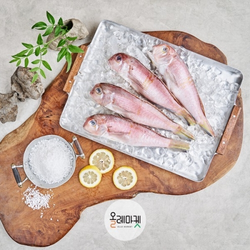 [제주산지직송] 제주 통옥돔 150gX10마리 (무료배송)