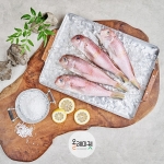 [제주산지직송] 제주 통옥돔 150gX10마리 (무료배송)