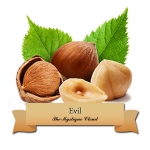 미스틱클라우드 이블 100ml