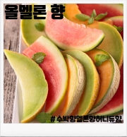 올 멜론 30ml 향료 (80ml/100ml 액상 제작용)