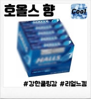 호올스 30ml 향료 (80ml/100ml 액상 제작용)