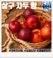 살구 자두 30ml 향료 (80ml/100ml 액상 제작용)