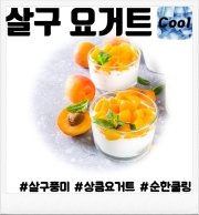 살구 요거트 30ml 향료 (80ml/100ml 액상 제작용)