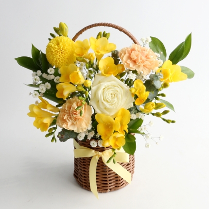 프리지아 꽃바구니