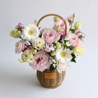 리시안셔스 생화 꽃바구니