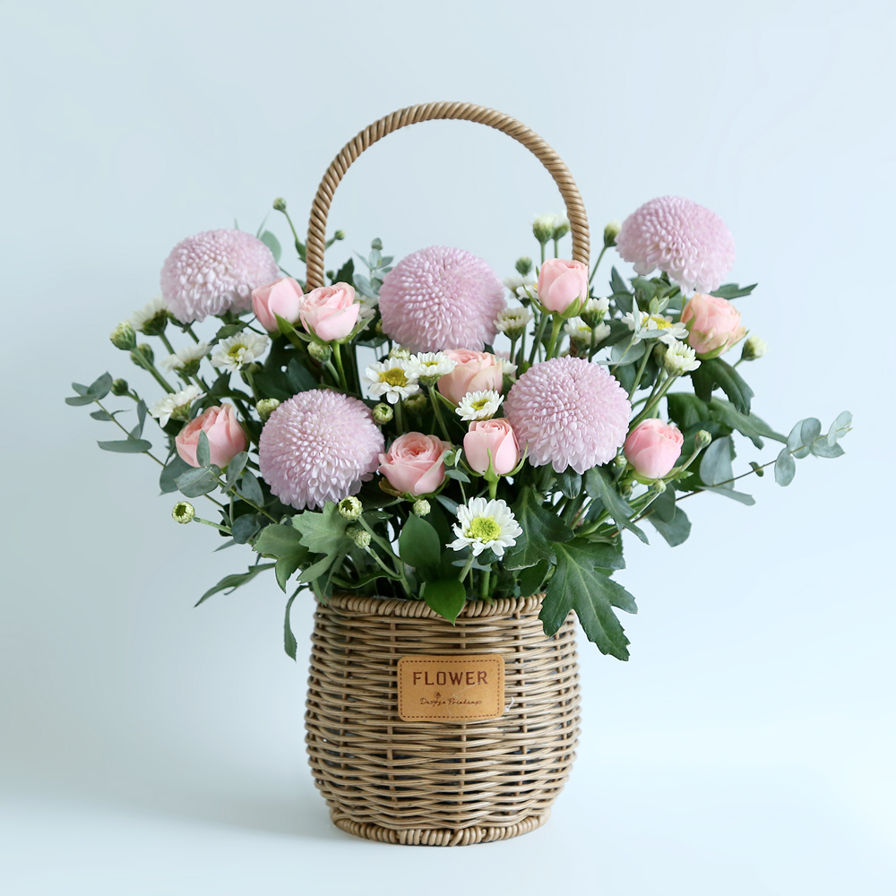이달의 꽃, 퐁퐁국화 생화 꽃바구니