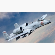 아카데미 ACA12379 1/48 미공군 A-10C "노즈아트"