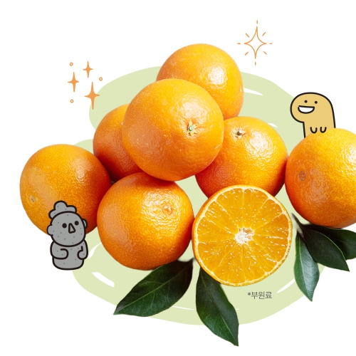 비타튼튼 젤리 어린이 멀티비타민&미네랄 1개 (15포)