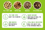 원데이청콩 20개입 박스 아이 부모님 노인 할머니 할아버지 어른 옛날 선물세트