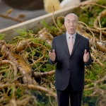 진품 강원도 치악산 산양삼 1세트 5뿌리 부모님선물 명절선물 원기회복 활력충전