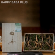 진품 강원도 치악산 산양삼 1세트 5뿌리 부모님선물 명절선물 원기회복 활력충전