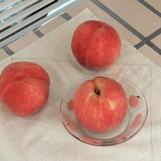 🎄12% OFF✨HOLIDAY✨오투홈 복숭아 디쉬