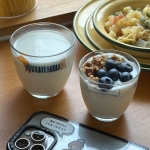 오투홈 닥스훈트 세트