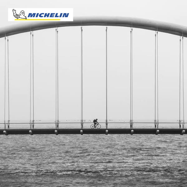 미쉐린 다이나믹 스포트 폴딩 로드 타이어