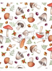Z161 Mushroom