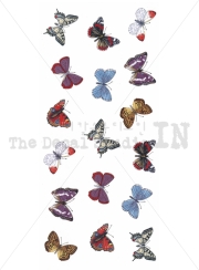 FL 19 Butterfly Mug
