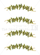 Herb Border