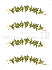 Herb Border