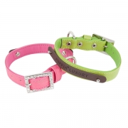 CAMMEO COLLAR(PAQA-AC1436)
