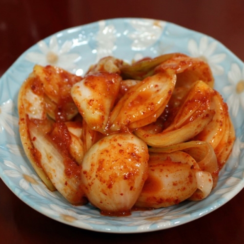 양파김치