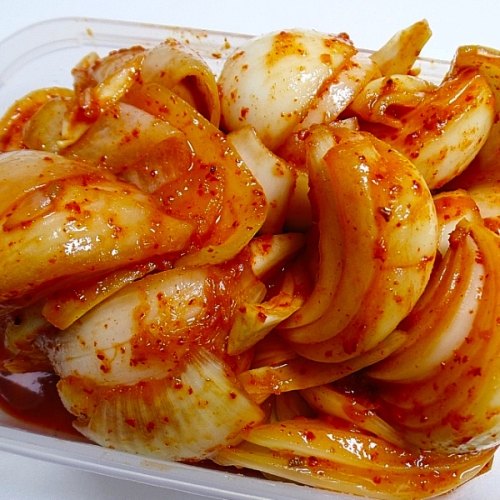 양파김치