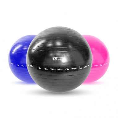 티에스 짐볼 65cm