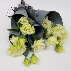 리시안서스 한줄기포장