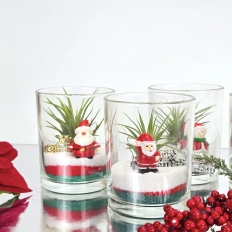 크리스마스-다육이 테라리움 만들기키트