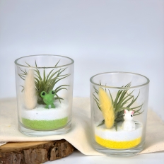 봄 테라리움 만들기키트