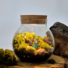 이끼 테라리움 만들기 DIY 키트