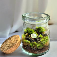 이끼 테라리움 만들기 DIY 키트
