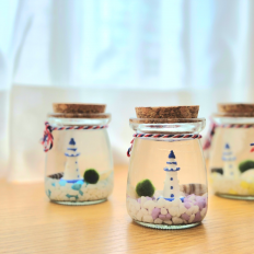 바다등대 푸딩병 마리모 키우기