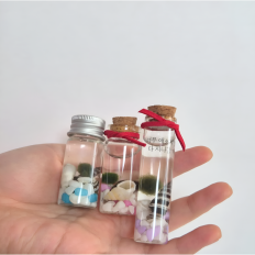 미니 마리모 5개 키우기