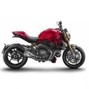 [C.O.X] DUCATI Monster 1200 /S 14~ 라디에이터 가드