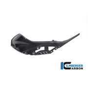 [ILMBERGER CARBON] BMW S1000RR 19- / M1000RR 21- / 카본 탱크 사이드 패널 LEFT for colored OEM Panel  / CG.SDL.021.S119S