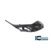 [ILMBERGER CARBON] BMW S1000RR 19- / M1000RR 21- / 카본 탱크 사이드 패널 RIGHT for colored OEM Panel  / CG.SDR.022.S119S
