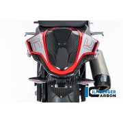 [ILMBERGER CARBON] BMW S1000RR 23- / M1000RR 23- / 카본 Biposto 시트 유닛 / CG.SIB.010.M123S